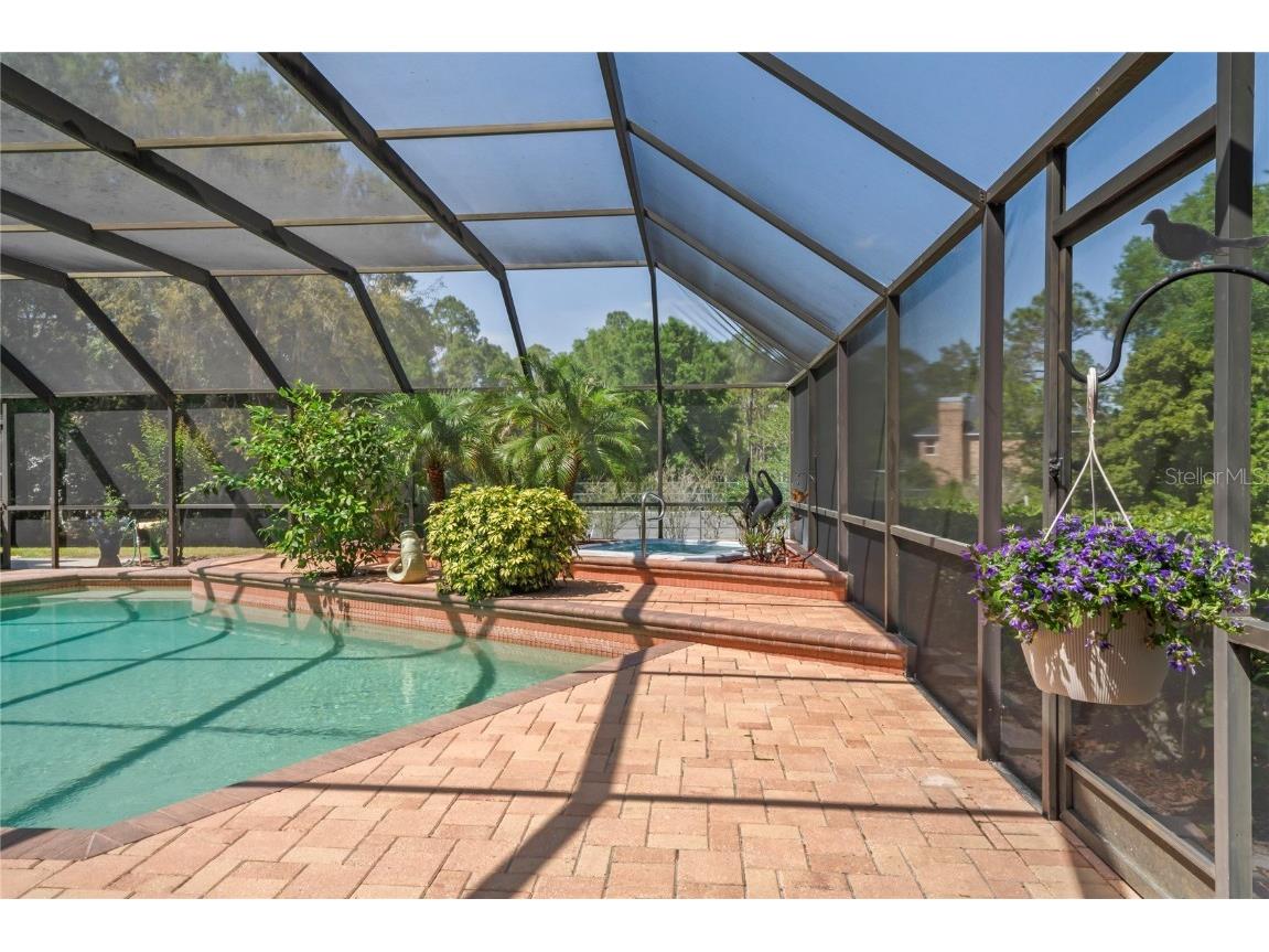 7353 Dogwood Crescent Spring Hill FL 34607 TB8381934 image49