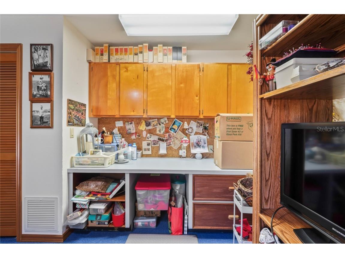 7353 Dogwood Crescent Spring Hill FL 34607 TB8381934 image57