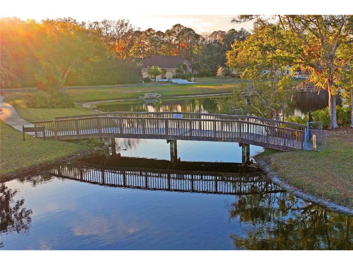 7353 Dogwood Crescent Spring Hill FL 34607 TB8381934 image94