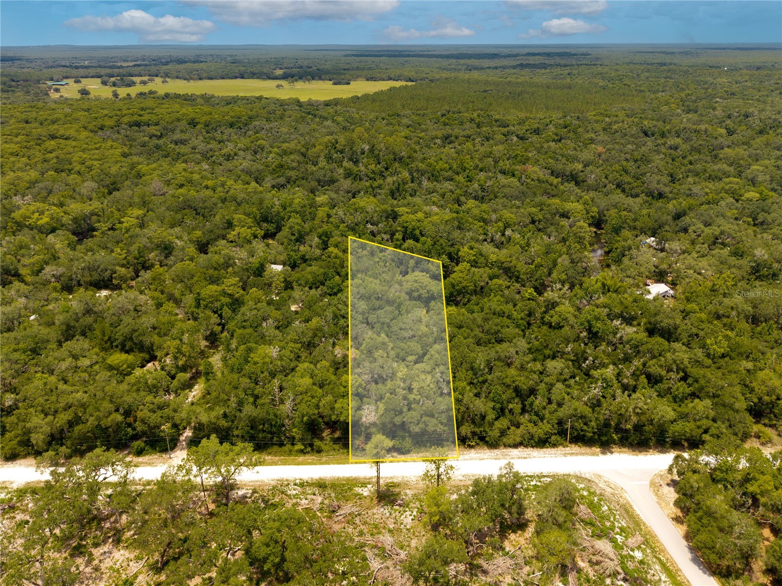 7353 Riverview Drive Webster FL 33597 W7886638 image1
