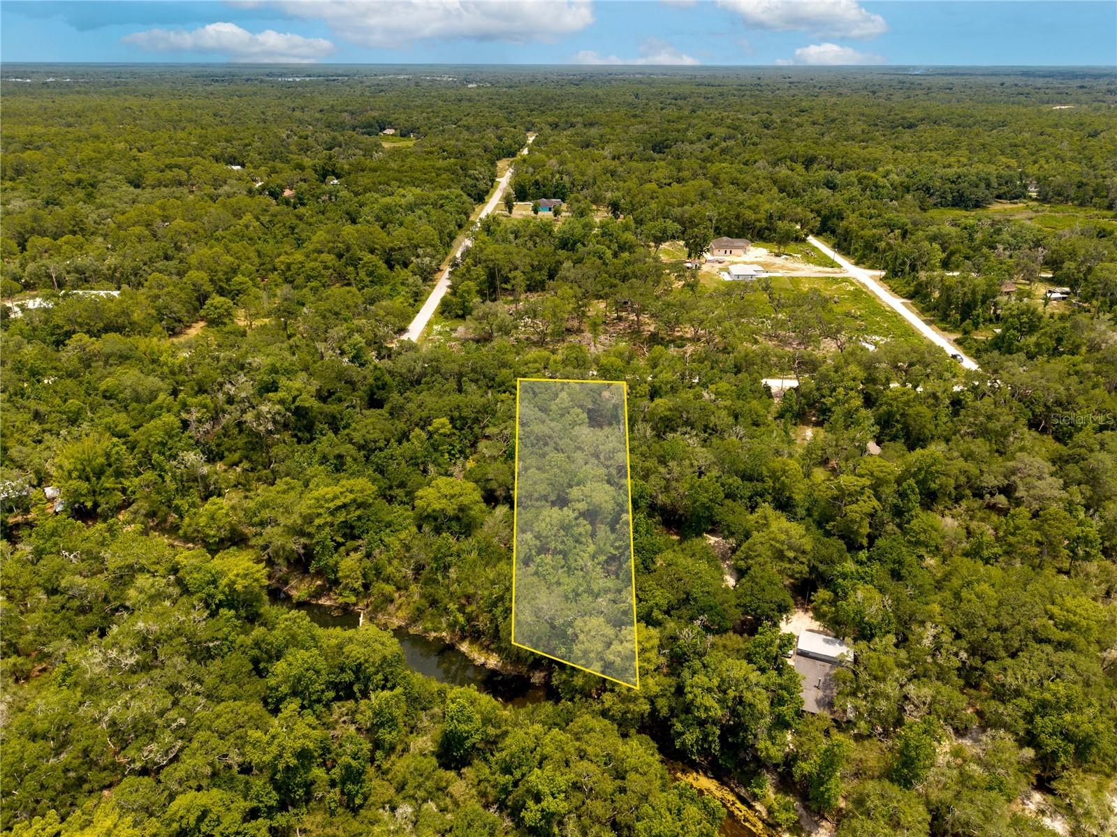 7353 Riverview Drive Webster FL 33597 W7886638 image3