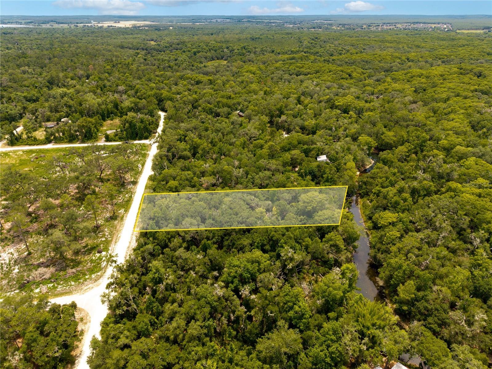 7353 Riverview Drive Webster FL 33597 W7886638 image4