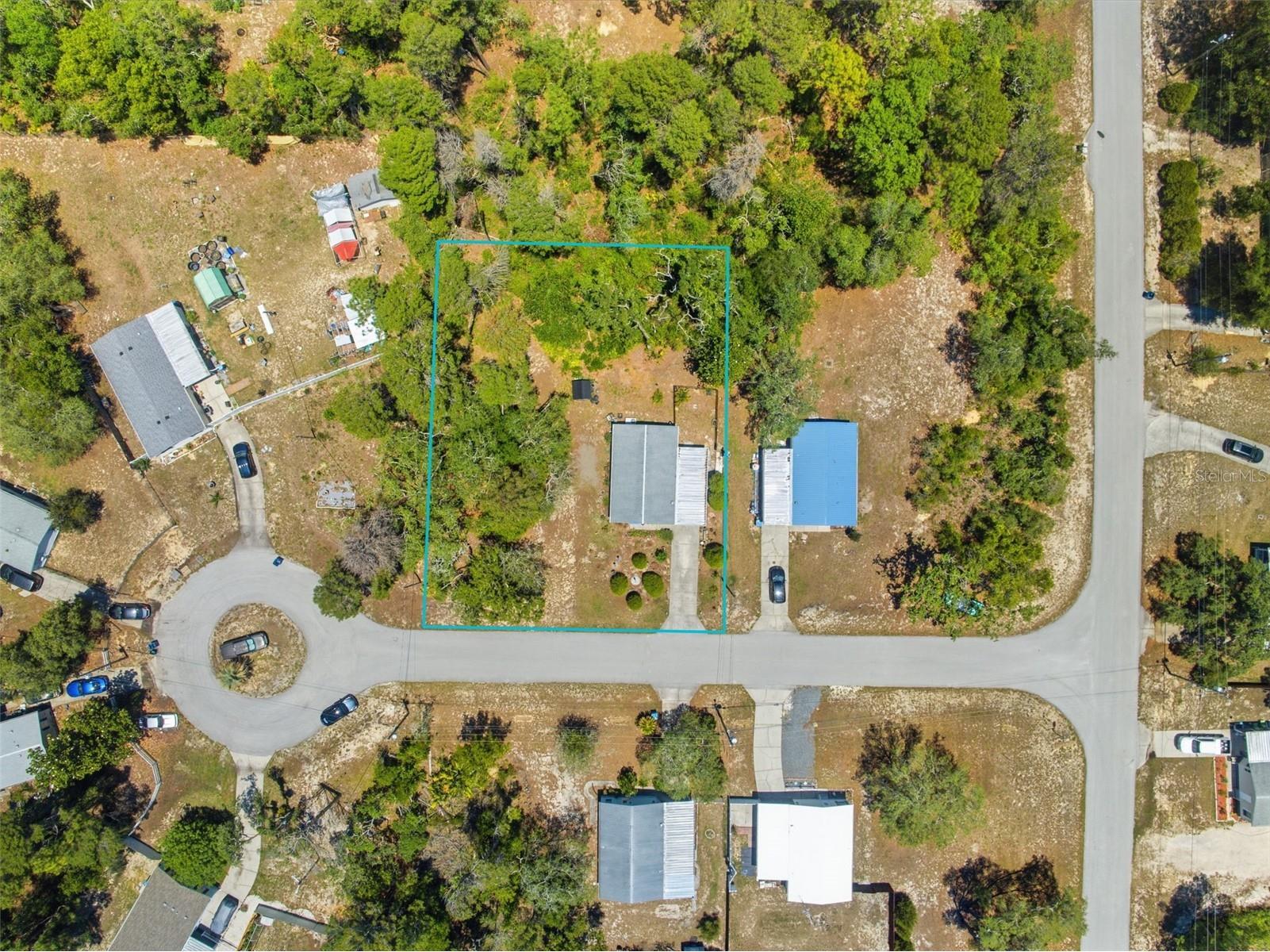7355 Myhope Circle Spring Hill FL 34606 W7885794 image4