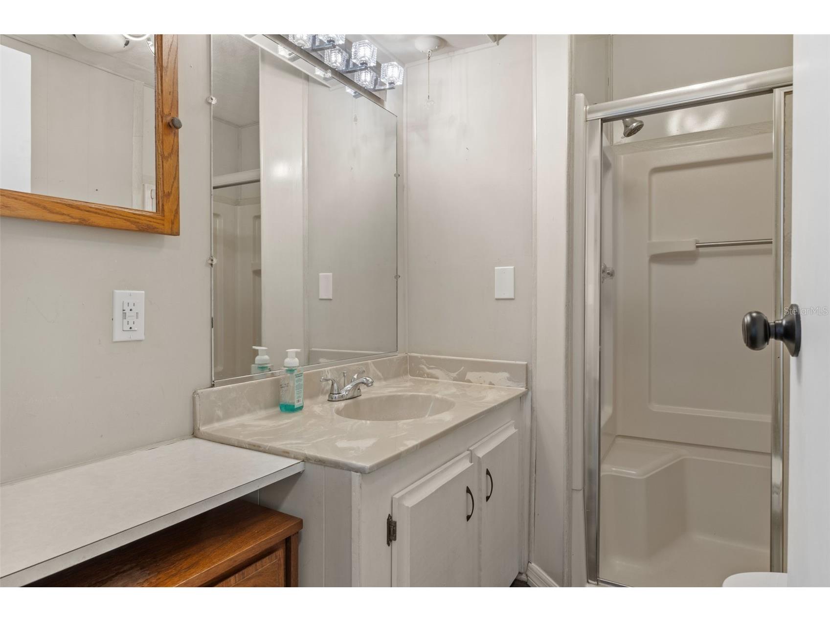 7356 Western Circle Drive Brooksville FL 34613 TB8477670 image30