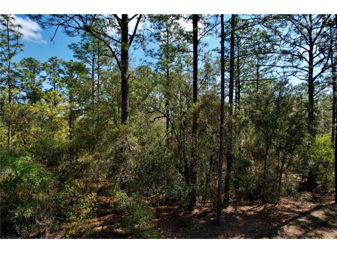 7357 N Firwood Circle Citrus Springs FL 34433 O6102162 image1