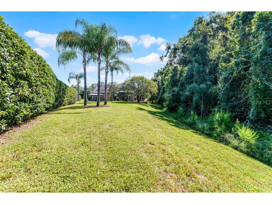 736 Grey Heron Place Chuluota FL 32766 O6345204 image41