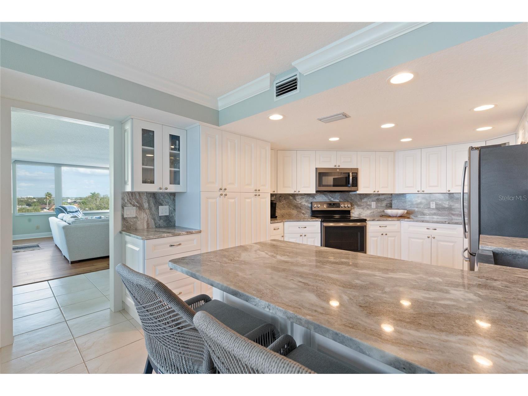 736 Island Way #406 Clearwater FL 33767 - INTRACOASTAL TB8456553 image23