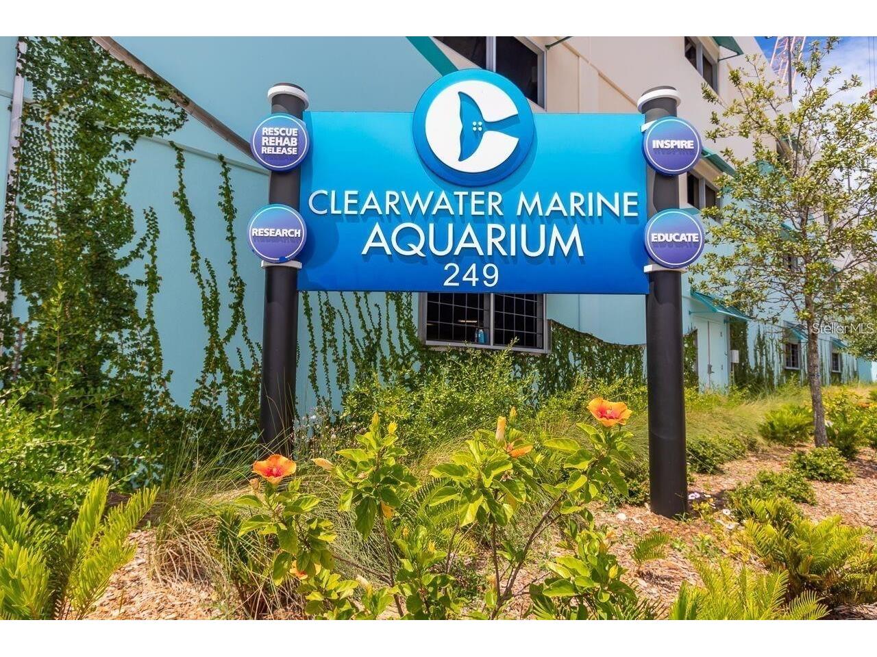 736 Island Way #804 Clearwater FL 33767 TB8502800 image60