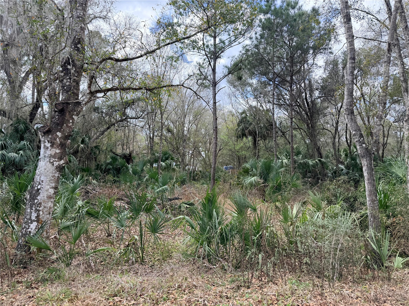 736 S Sickle Point Inverness FL 34450 G5108952 image1