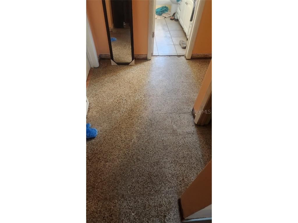 736 San Christopher Drive Dunedin FL 34698 TB8452681 image14