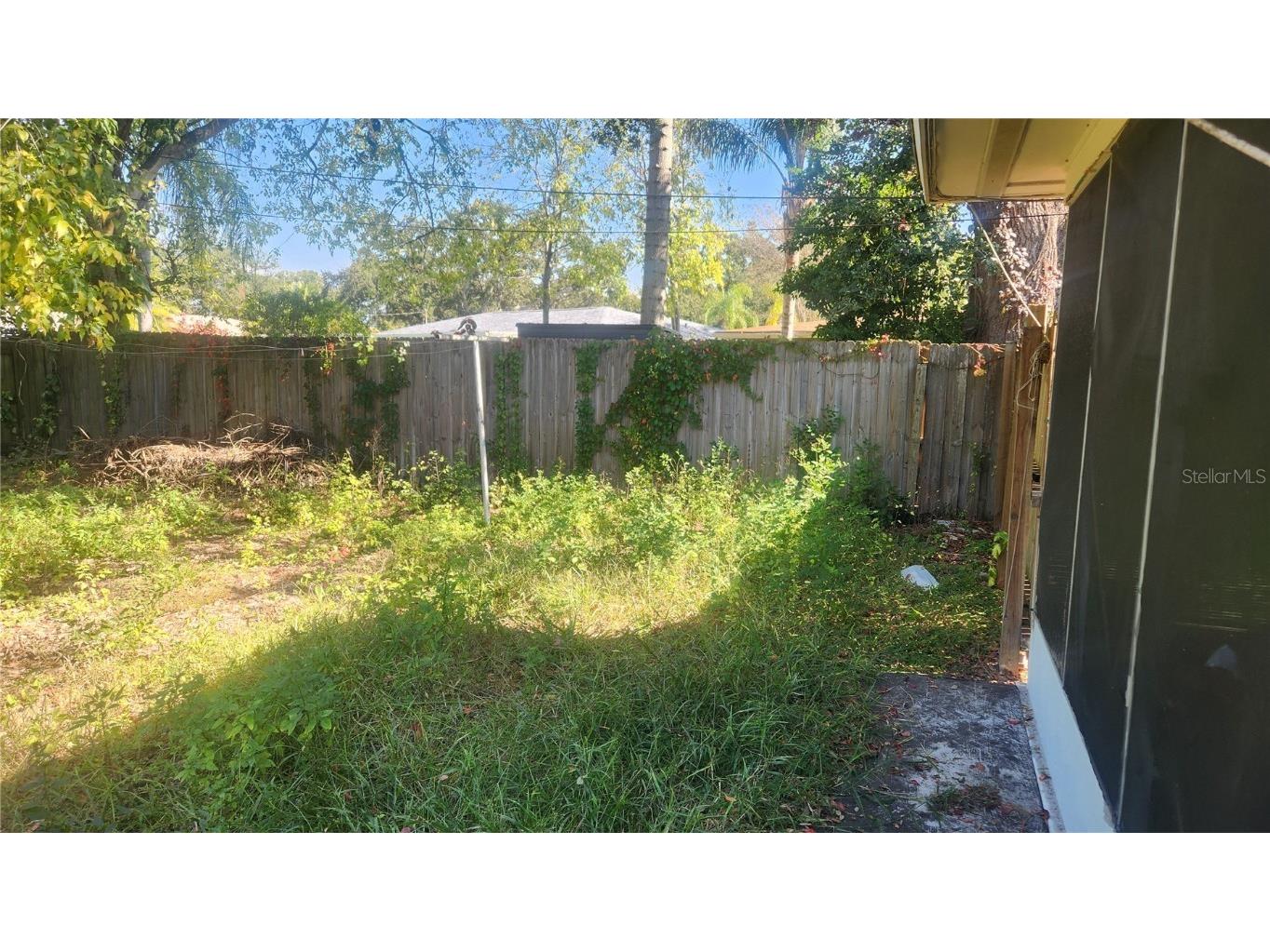 736 San Christopher Drive Dunedin FL 34698 TB8452681 image25