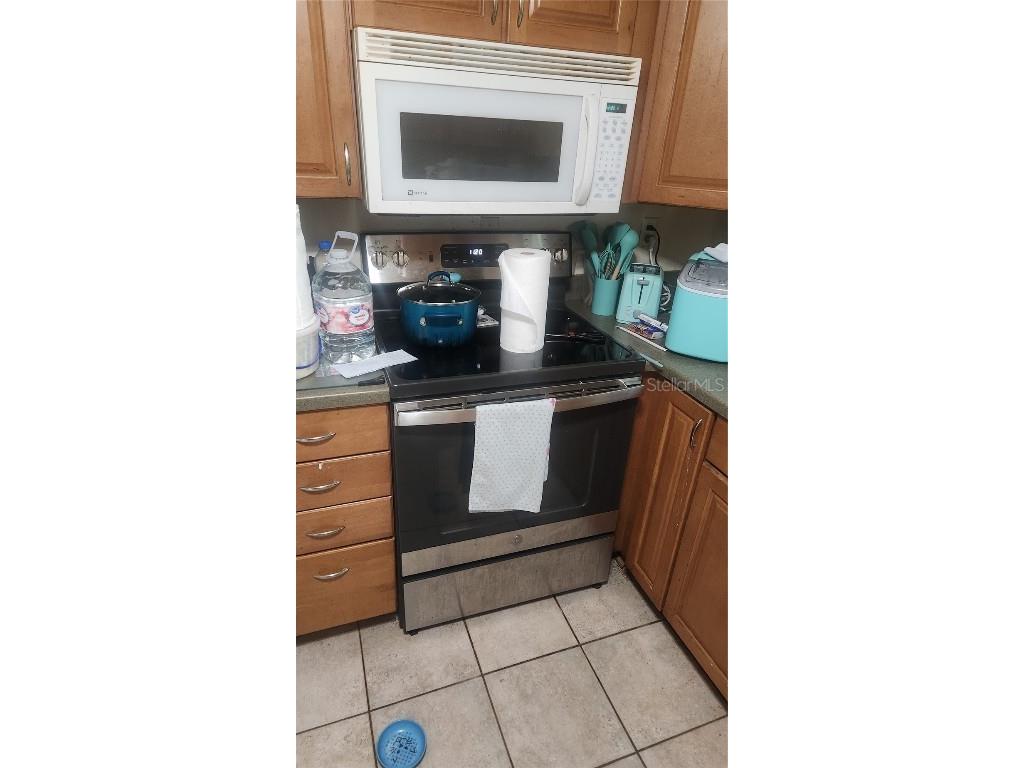 736 San Christopher Drive Dunedin FL 34698 TB8452681 image4