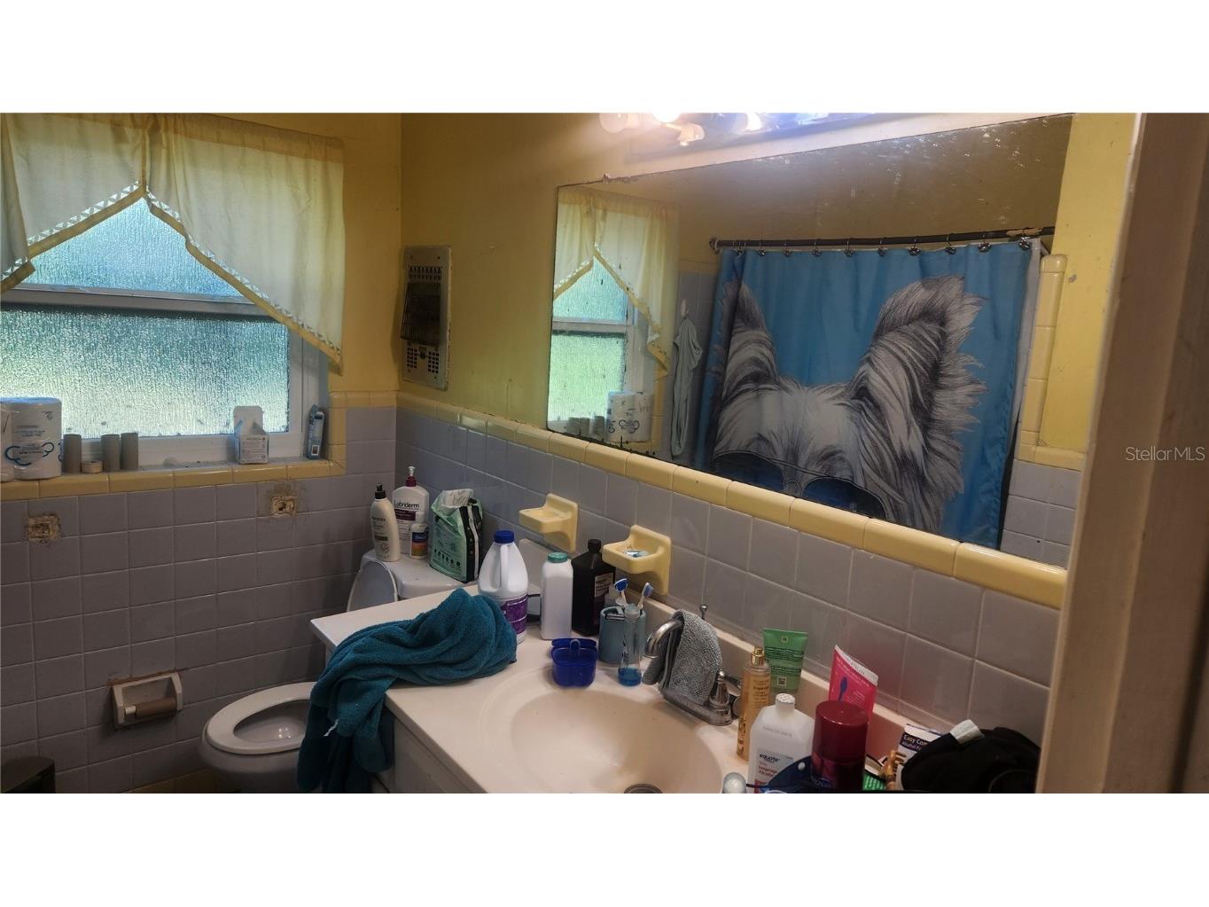 736 San Christopher Drive Dunedin FL 34698 TB8452681 image6