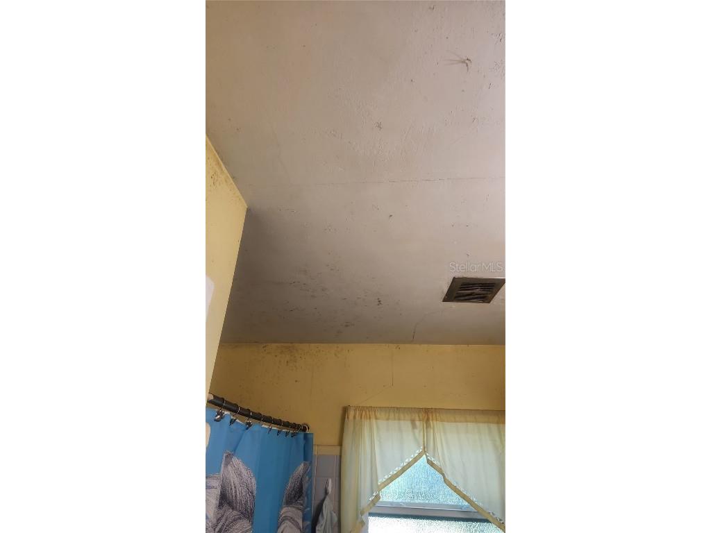 736 San Christopher Drive Dunedin FL 34698 TB8452681 image7