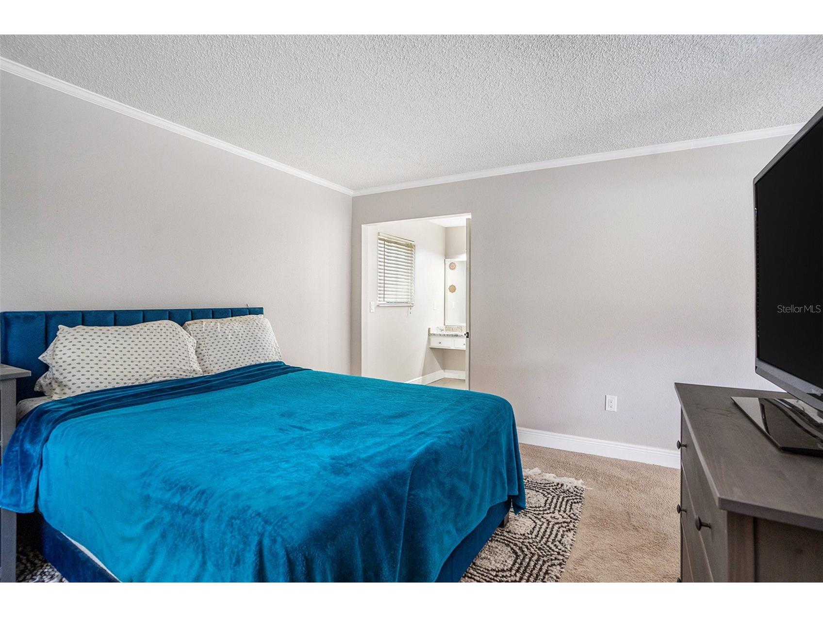 736 Sandy Creek Drive Brandon FL 33511 TB8436949 image16