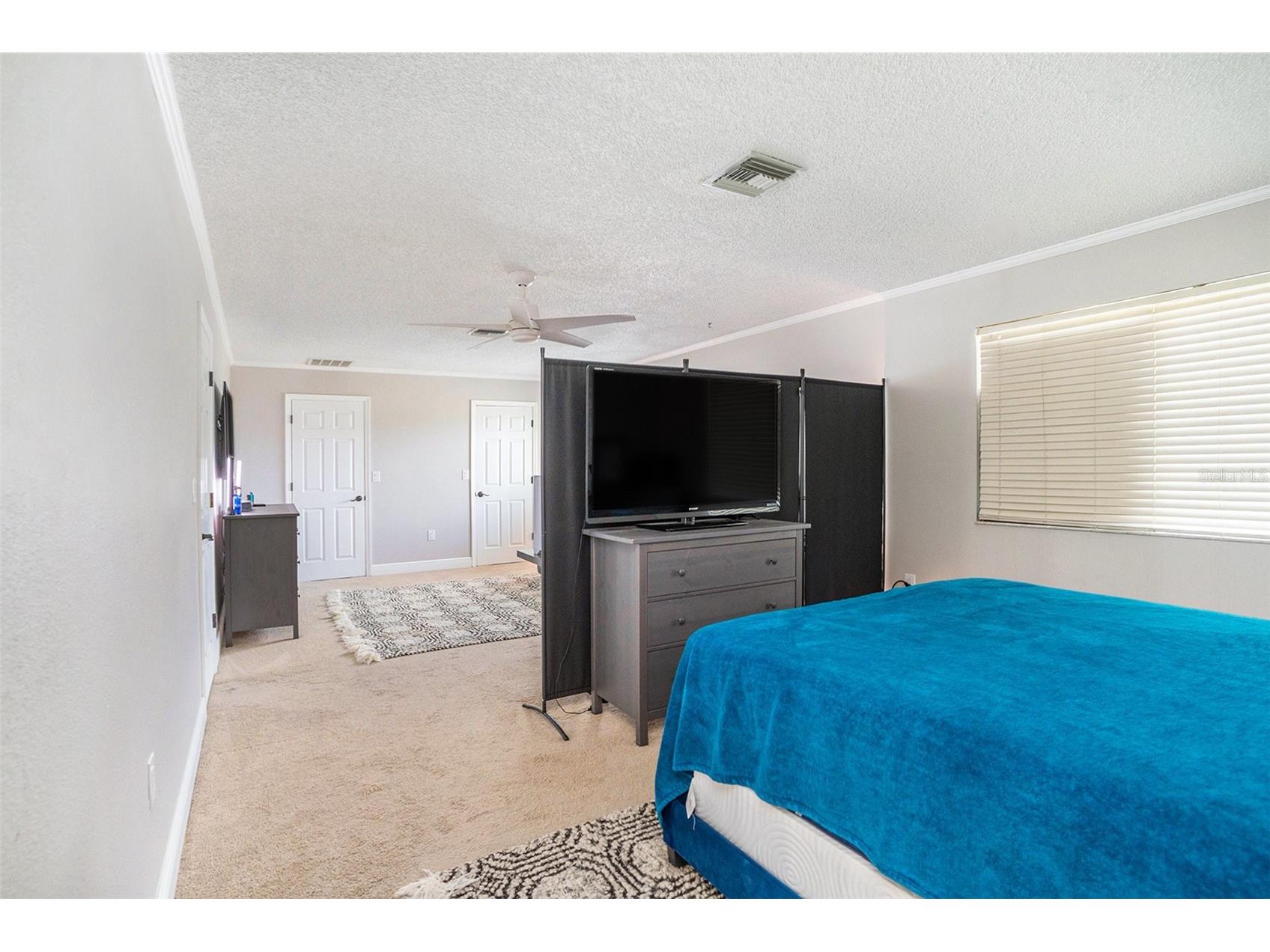 736 Sandy Creek Drive Brandon FL 33511 TB8436949 image17