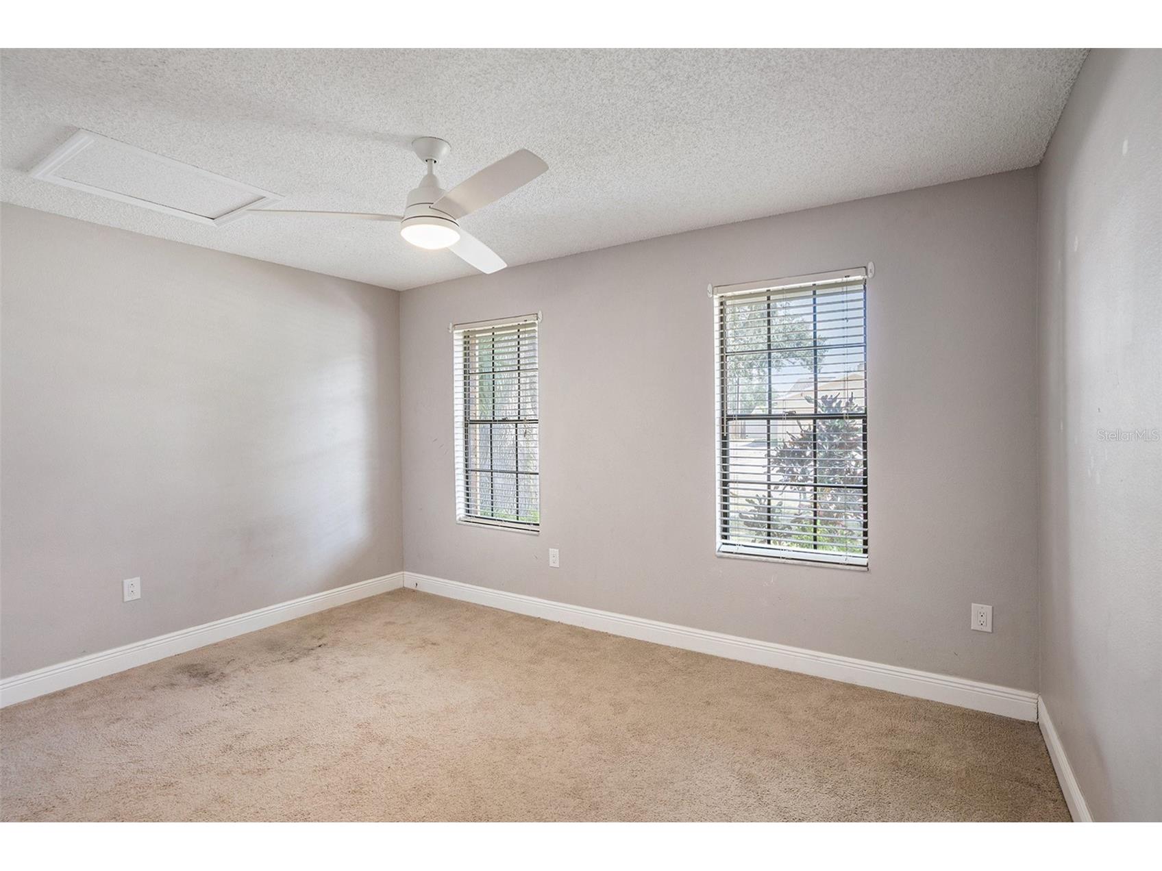 736 Sandy Creek Drive Brandon FL 33511 TB8436949 image19