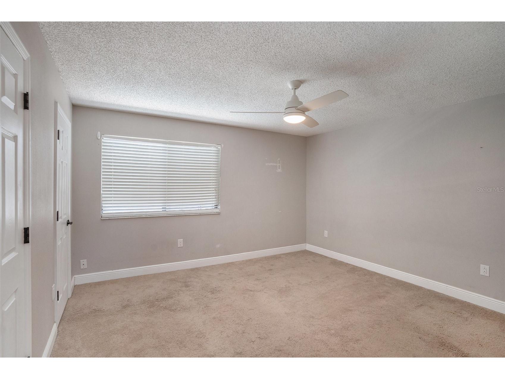 736 Sandy Creek Drive Brandon FL 33511 TB8436949 image22