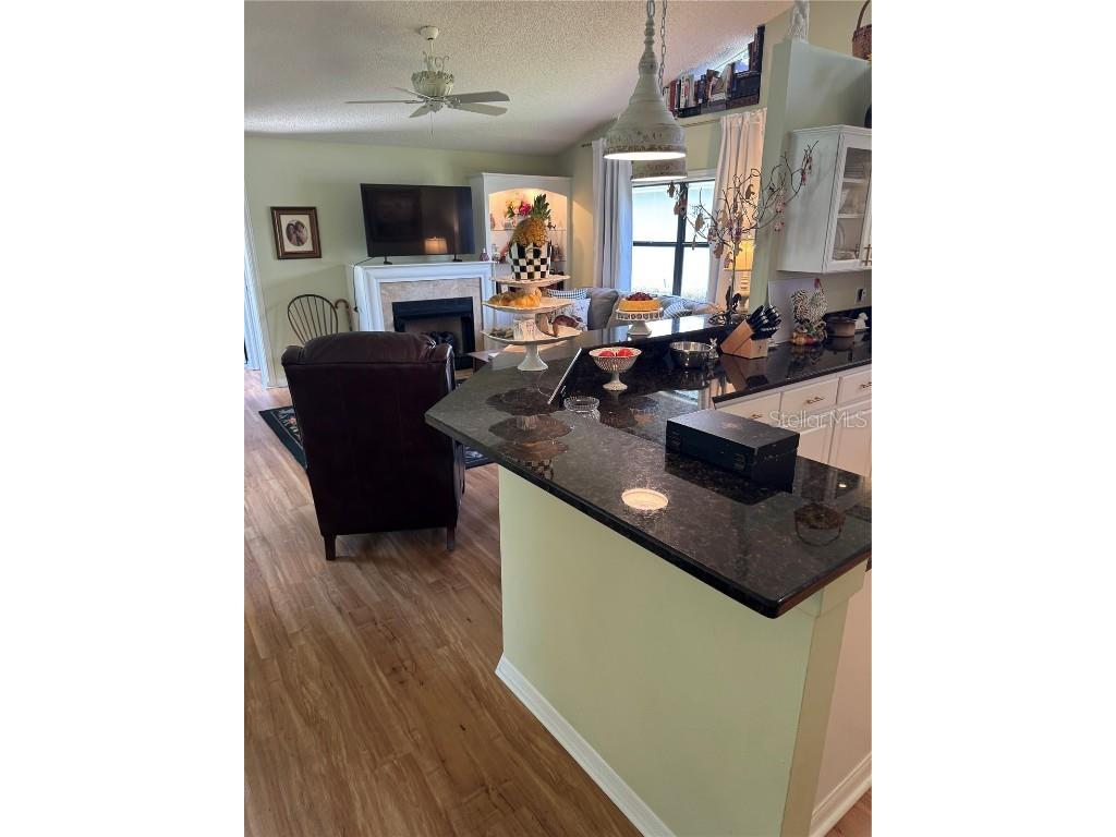 7360 Clearmeadow Drive Spring Hill FL 34606 A4659056 image13