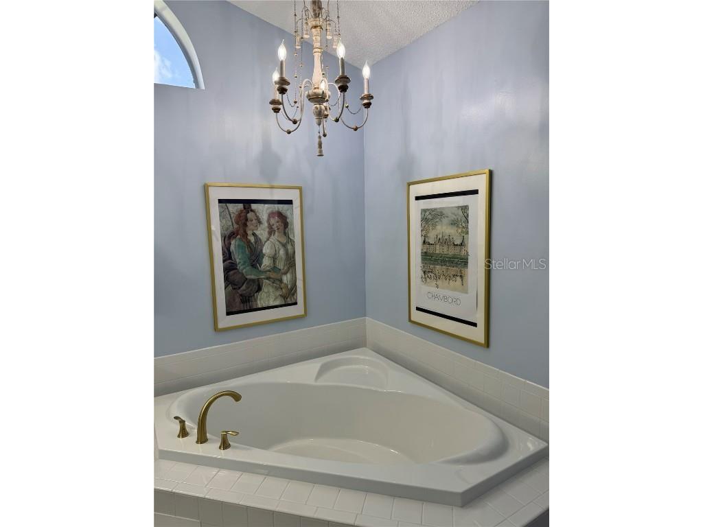 7360 Clearmeadow Drive Spring Hill FL 34606 A4659056 image18