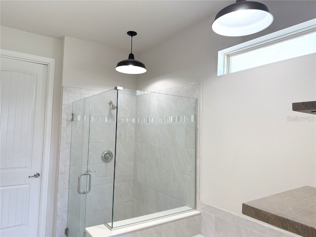 7360 Pool Compass Loop Wesley Chapel FL 33545 TB8439365 image12