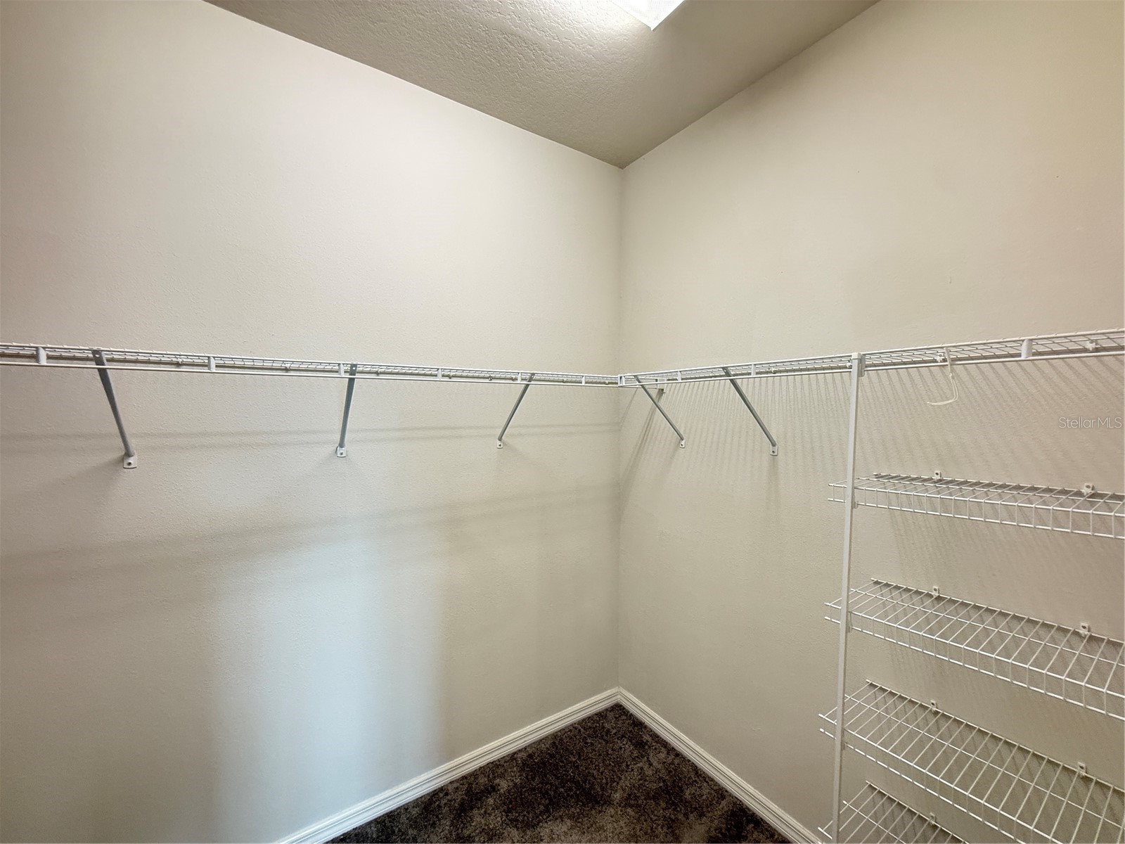 7360 Pool Compass Loop Wesley Chapel FL 33545 TB8486698 image17