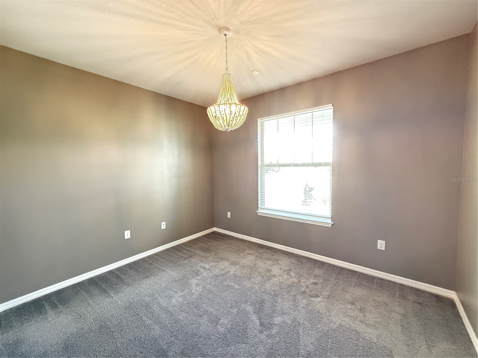 7360 Pool Compass Loop Wesley Chapel FL 33545 TB8486698 image24