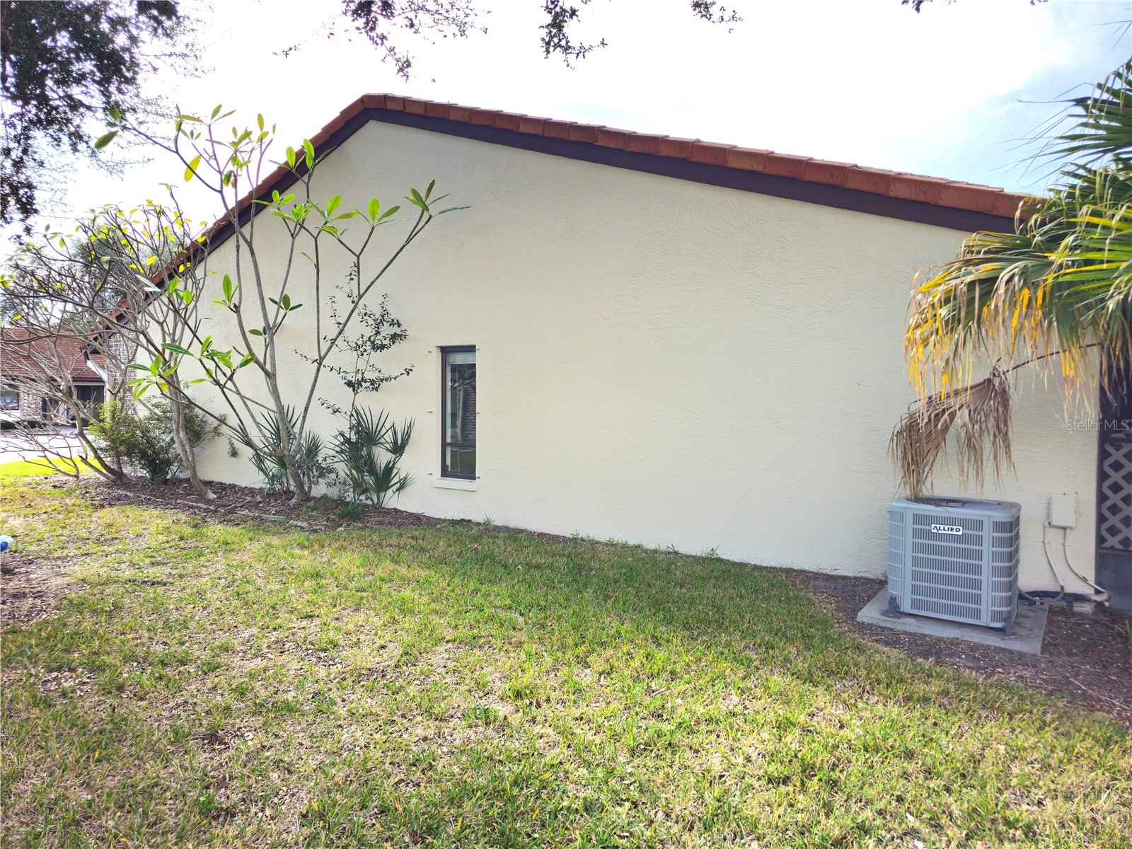 7360 Ulmerton Road #20F Largo FL 33771 TB8462073 image20