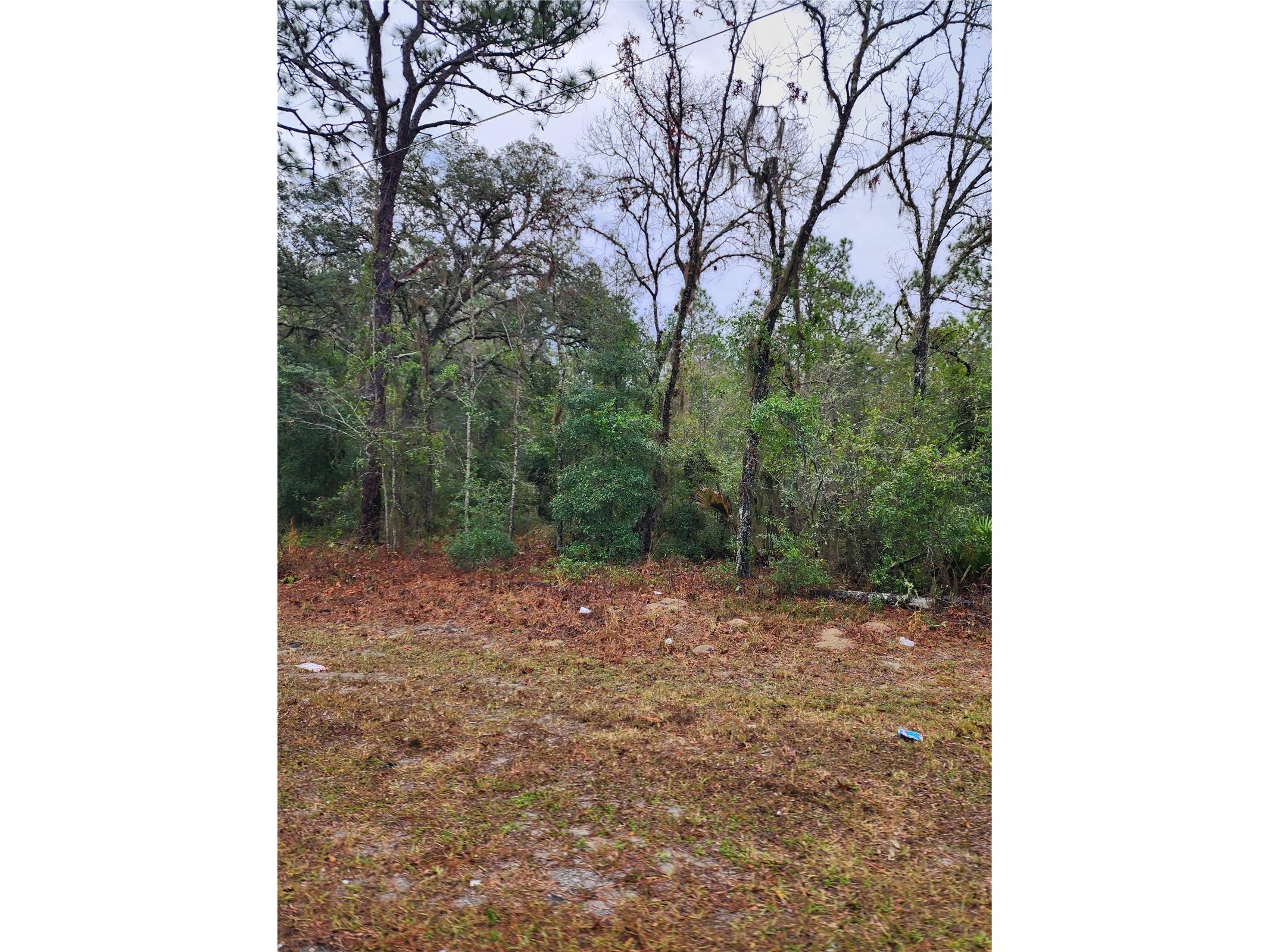 7360 W Dunnellon Road Dunnellon FL 34433 TB8506864 image2