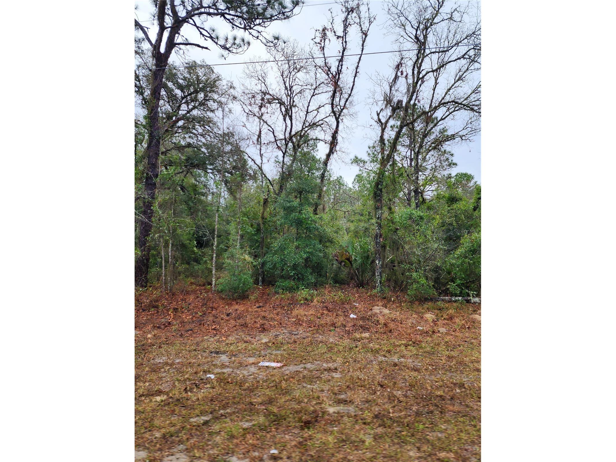 7360 W Dunnellon Road Dunnellon FL 34433 TB8506864 image3