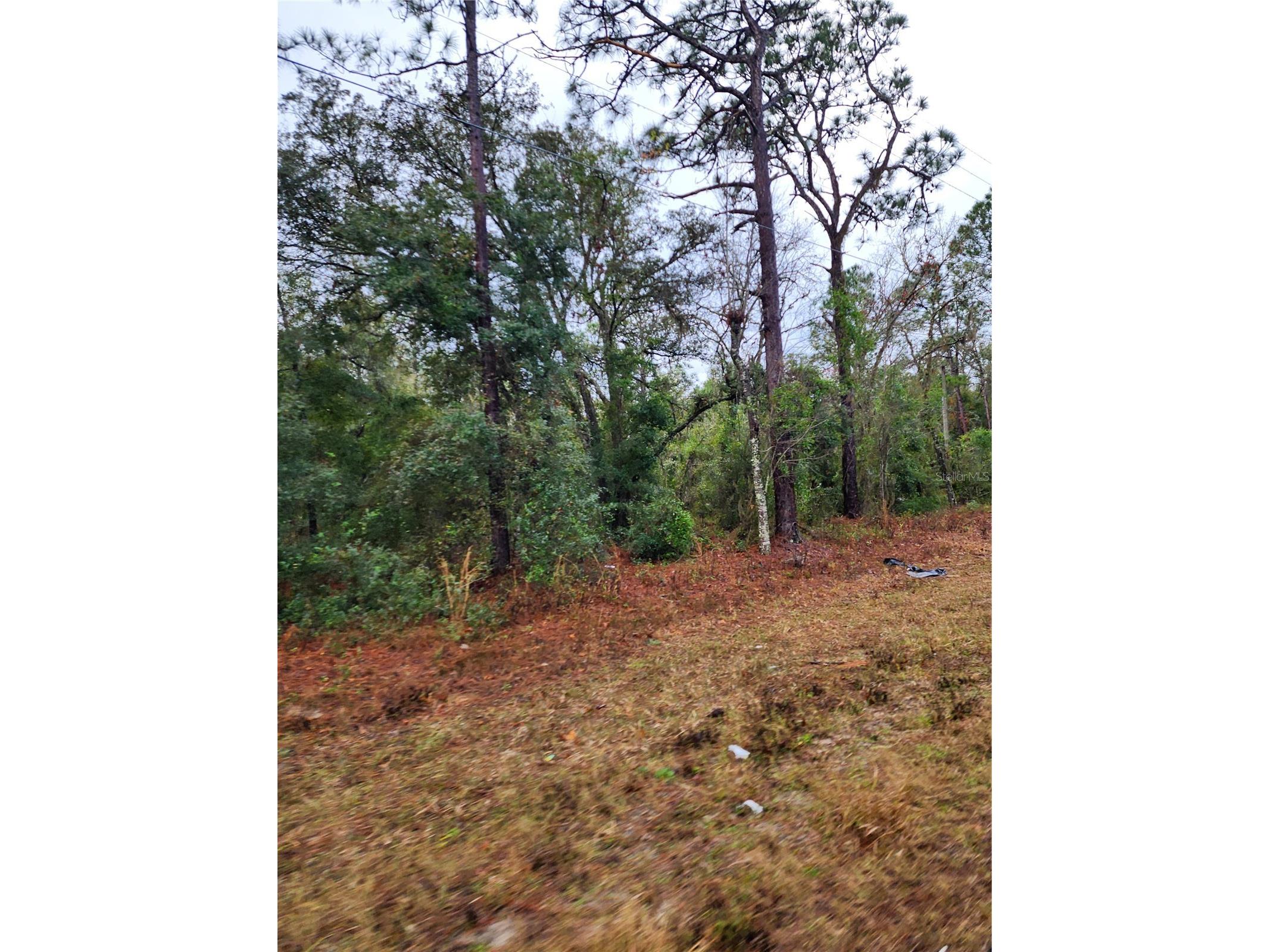 7360 W Dunnellon Road Dunnellon FL 34433 TB8506864 image4
