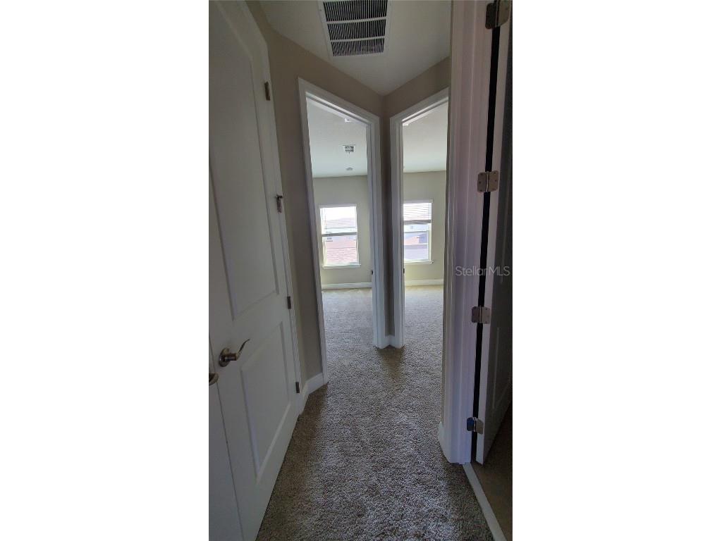 7361 Alpine Butterfly Lane Orlando FL 32819 O6347712 image14