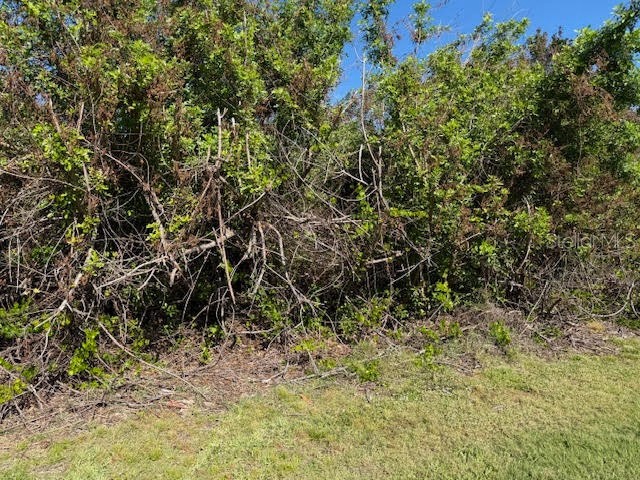 7361 Brookhaven Terrace Englewood FL 34224 O6270457 image3