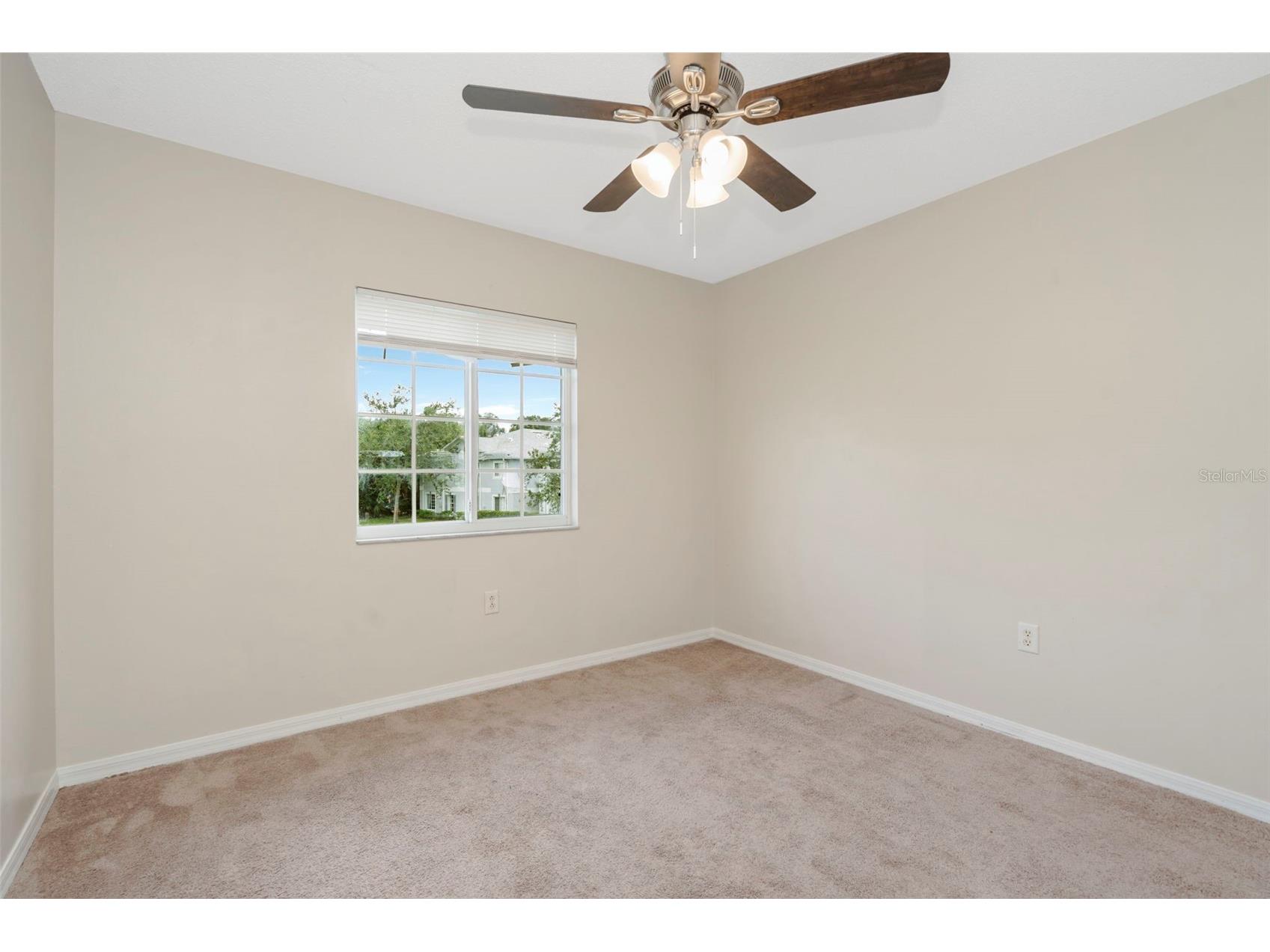 7361 E Bank Drive Tampa FL 33617 TB8531534 image17
