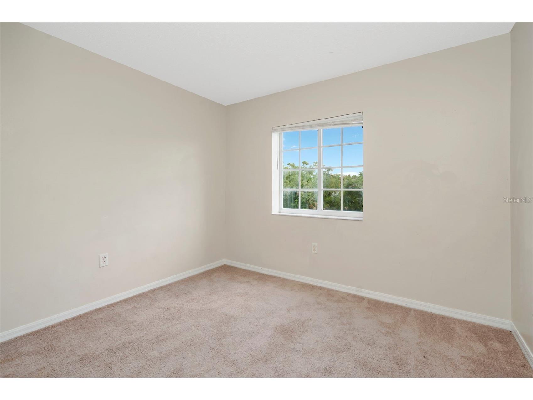 7361 E Bank Drive Tampa FL 33617 TB8531534 image19