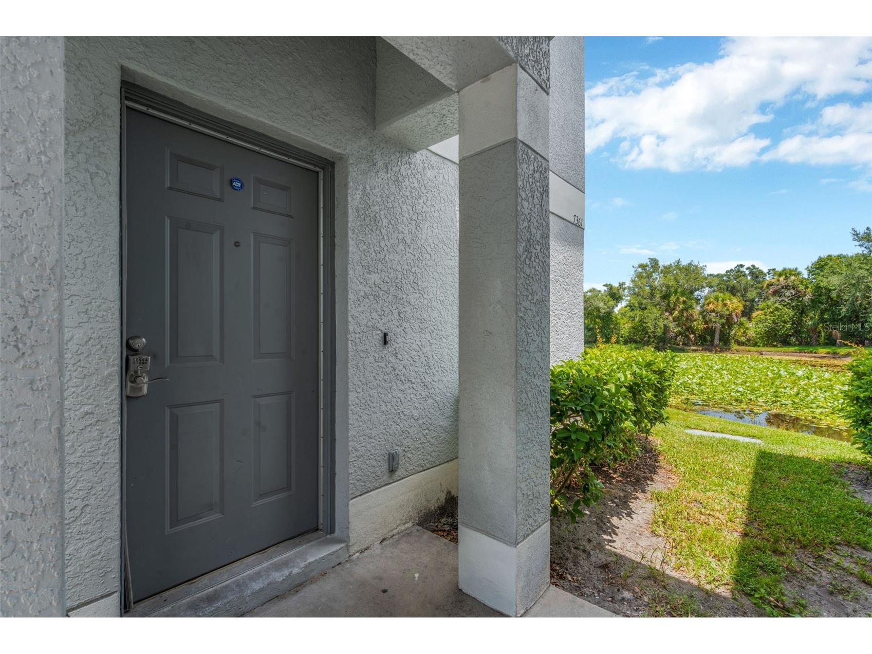 7361 E Bank Drive Tampa FL 33617 TB8531534 image2