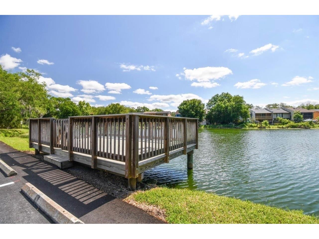 7361 E Bank Drive Tampa FL 33617 TB8531534 image22