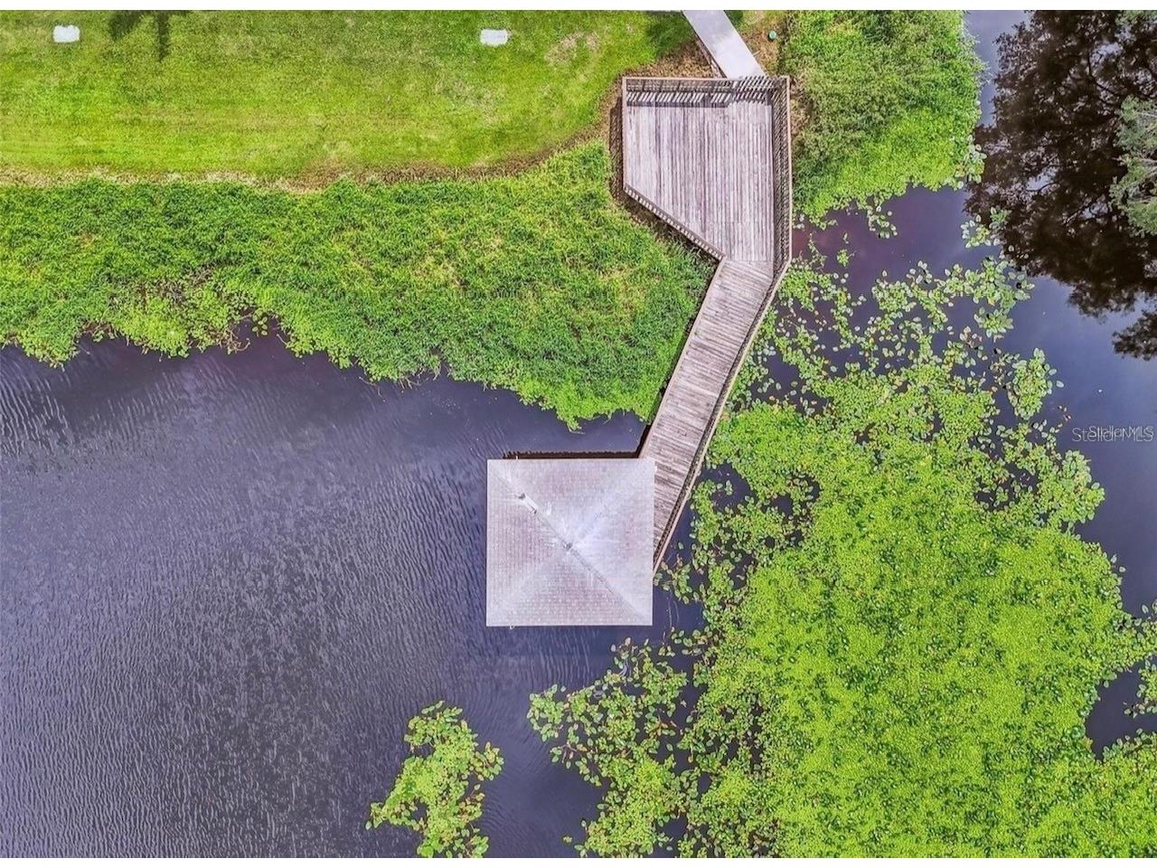 7361 E Bank Drive Tampa FL 33617 TB8531534 image23