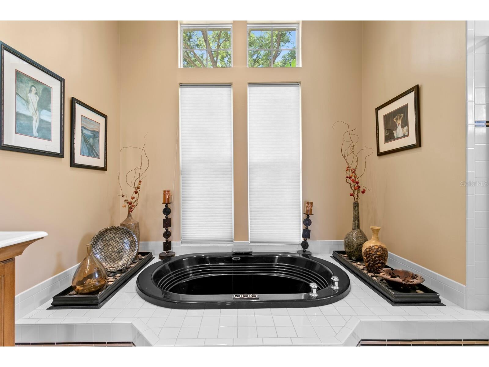 7361 Watersilk Drive Pinellas Park FL 33782 TB8497167 image33