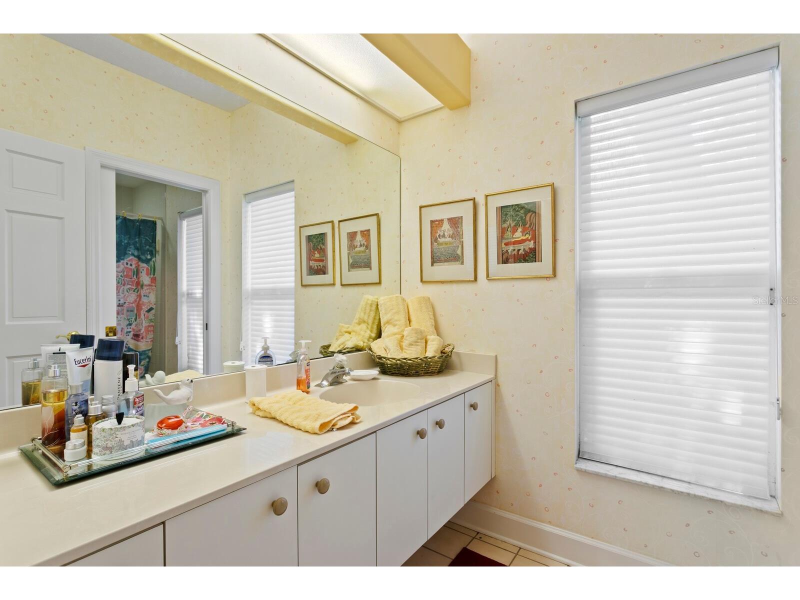 7361 Watersilk Drive Pinellas Park FL 33782 TB8497167 image36