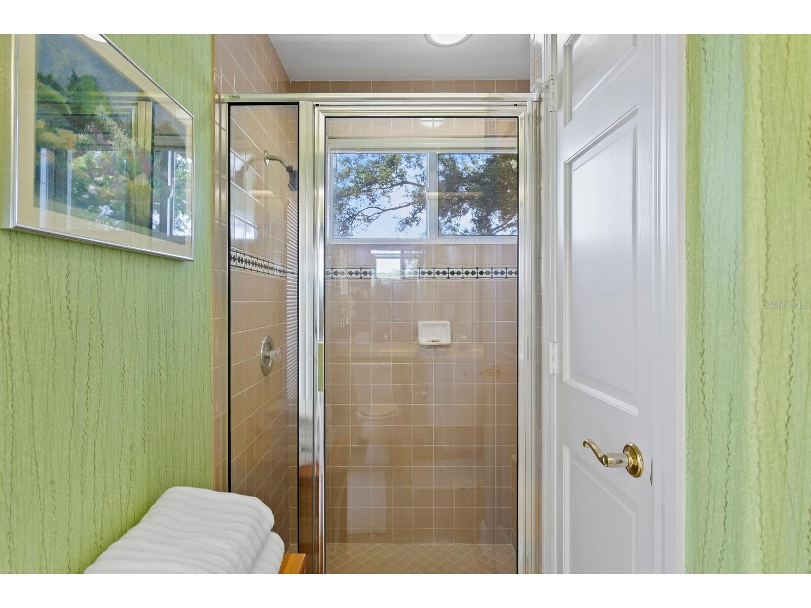 7361 Watersilk Drive Pinellas Park FL 33782 TB8497167 image41