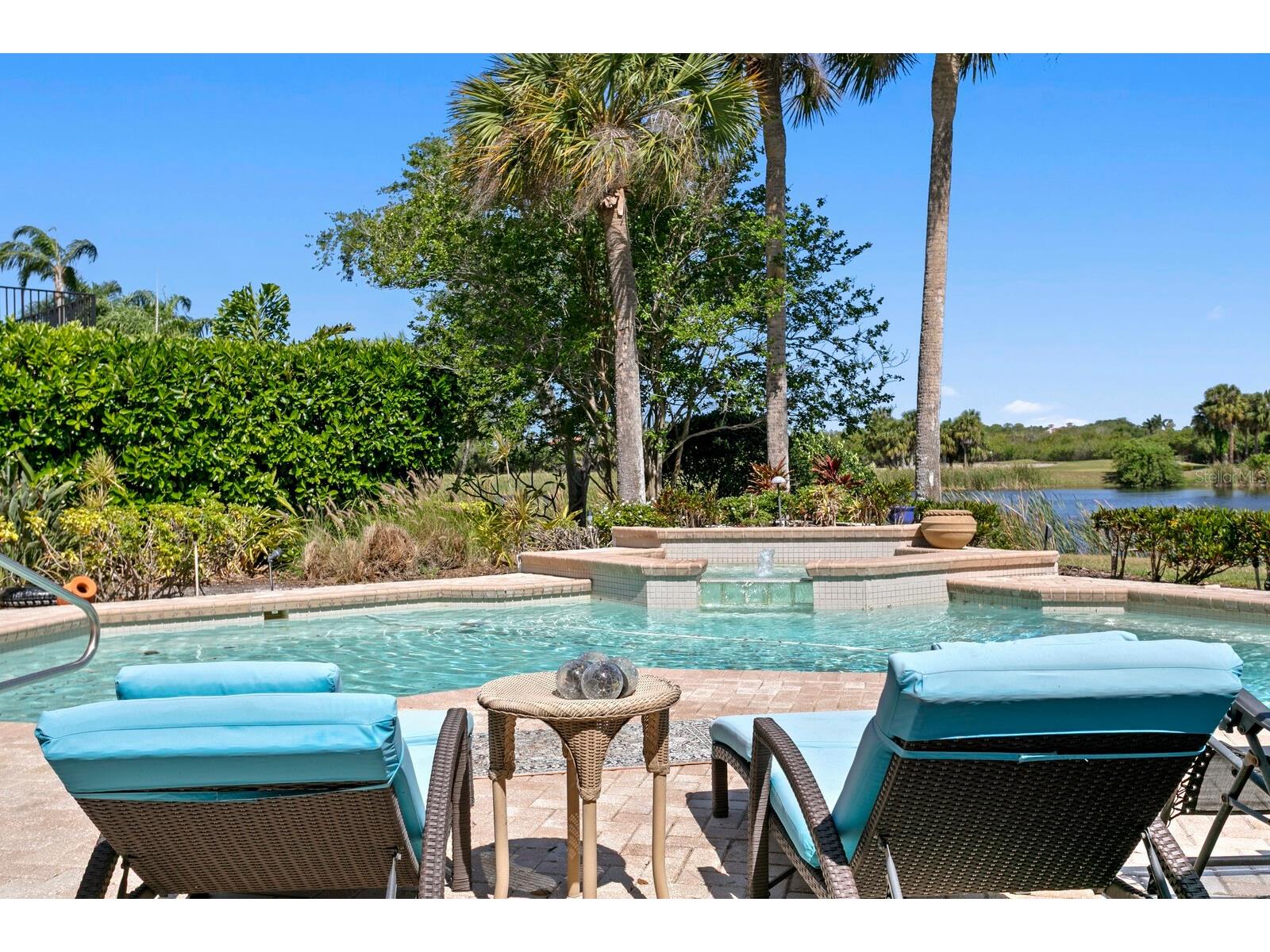 7361 Watersilk Drive Pinellas Park FL 33782 TB8497167 image46