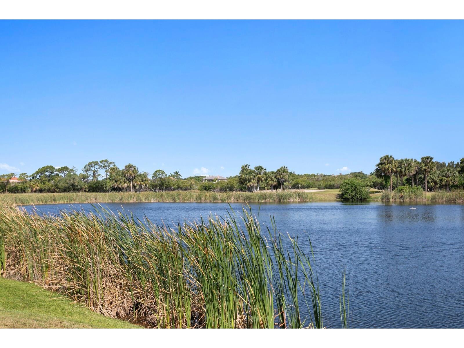 7361 Watersilk Drive Pinellas Park FL 33782 TB8497167 image49