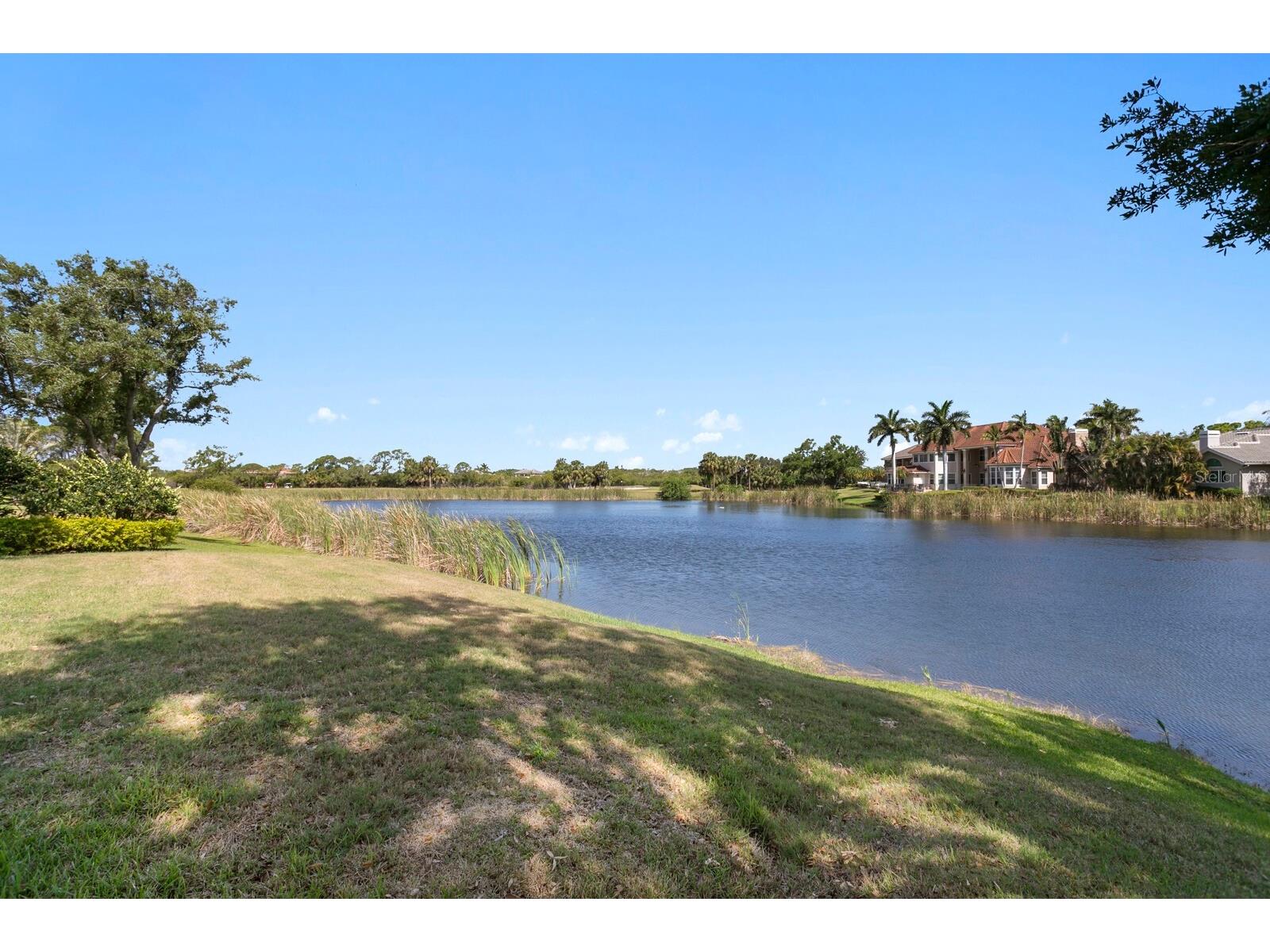 7361 Watersilk Drive Pinellas Park FL 33782 TB8497167 image51