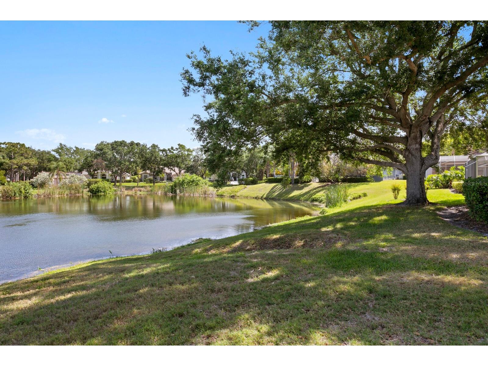 7361 Watersilk Drive Pinellas Park FL 33782 TB8497167 image52