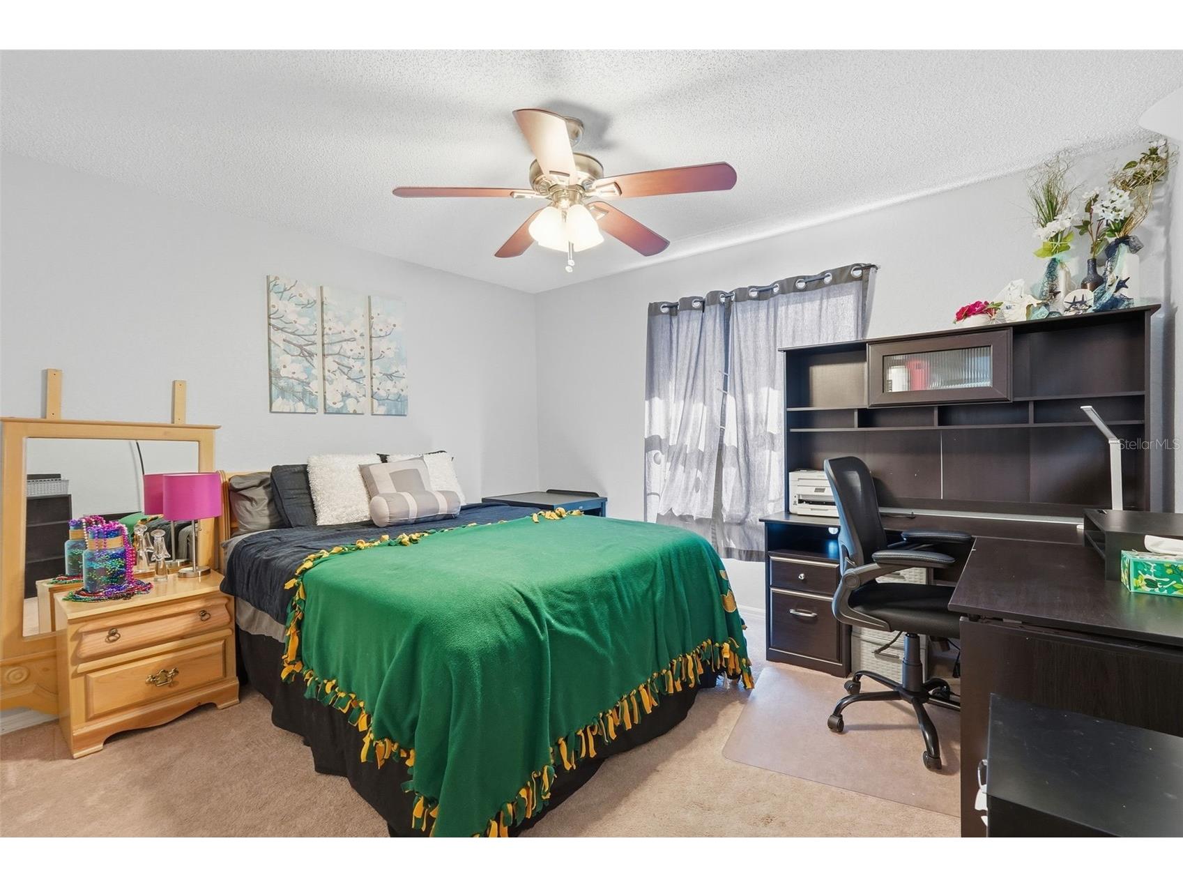 7363 62nd Avenue N Pinellas Park FL 33781 TB8471886 image26