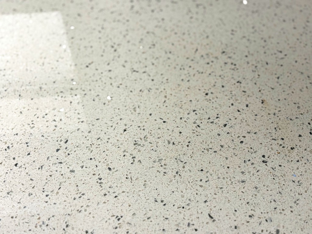 7363 Eastern Circle Brooksville FL 34613 TB8447106 image7