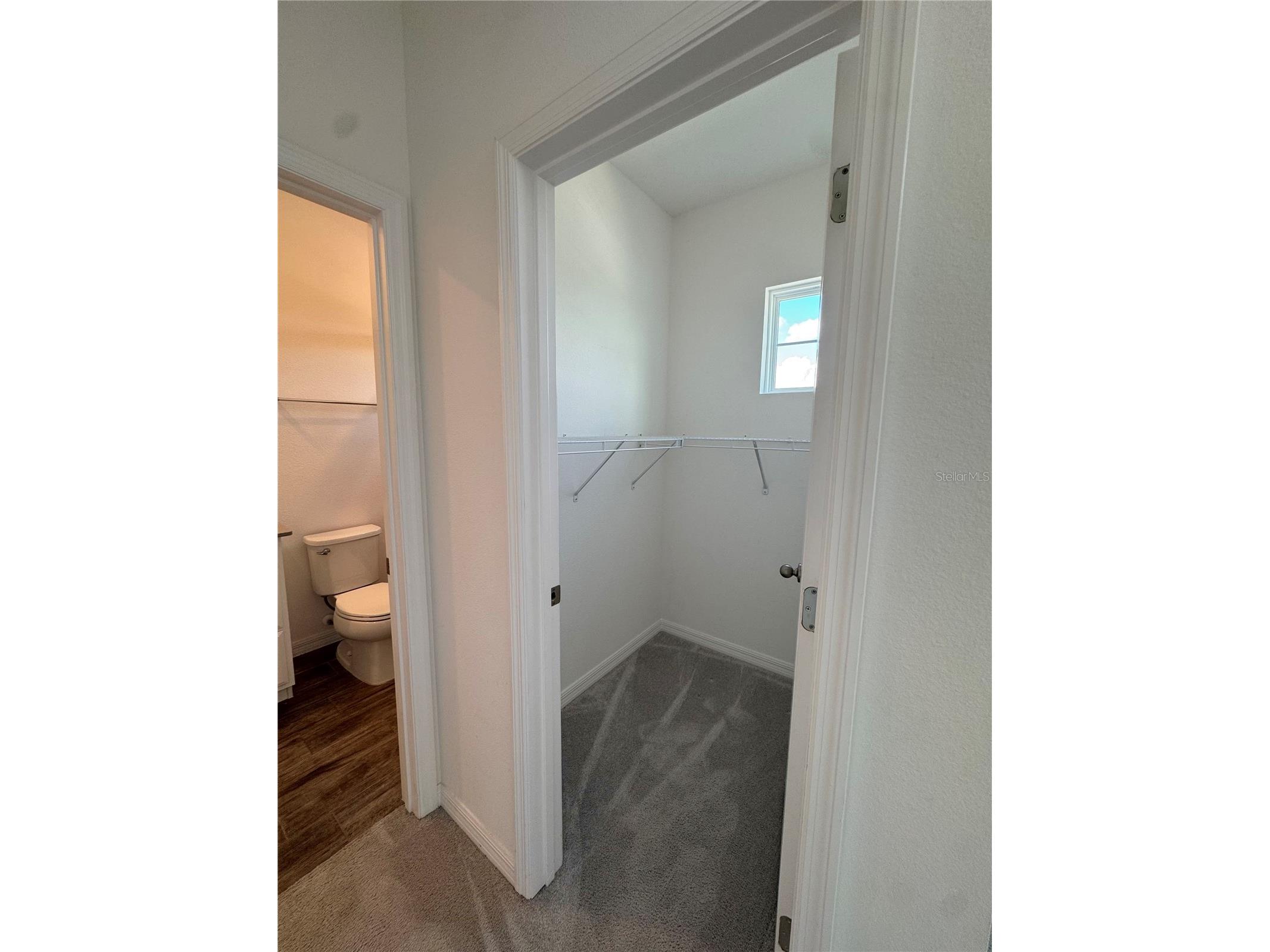 7363 Mezzano Lane Winter Garden FL 34787 O6422390 image18