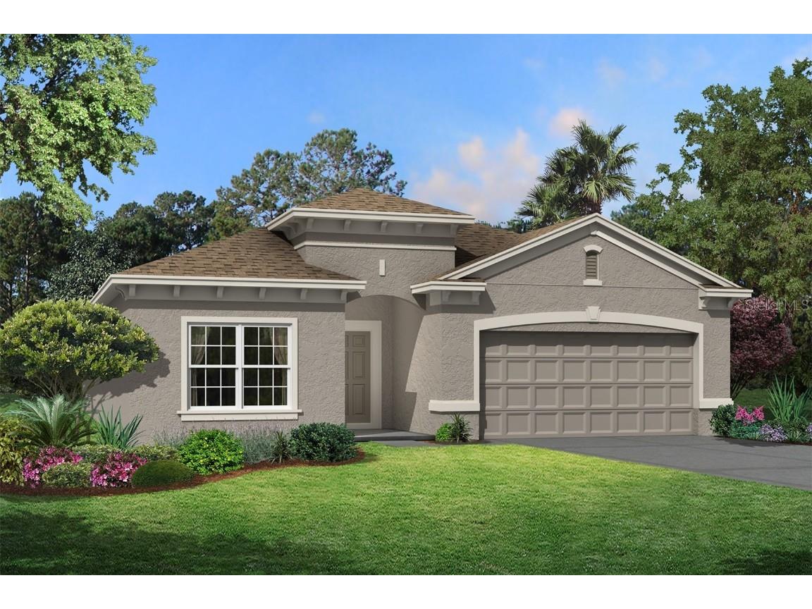 7368 Gulf Cypress Avenue Land O Lakes FL 34637 T3424341 image1