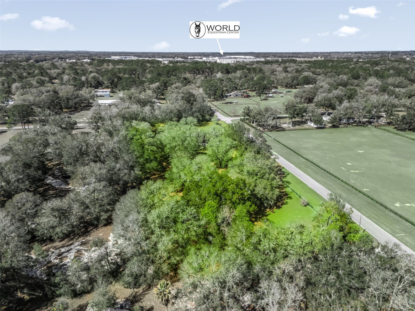 7368 NW 14th Street Ocala FL 34482 OM719749 image2